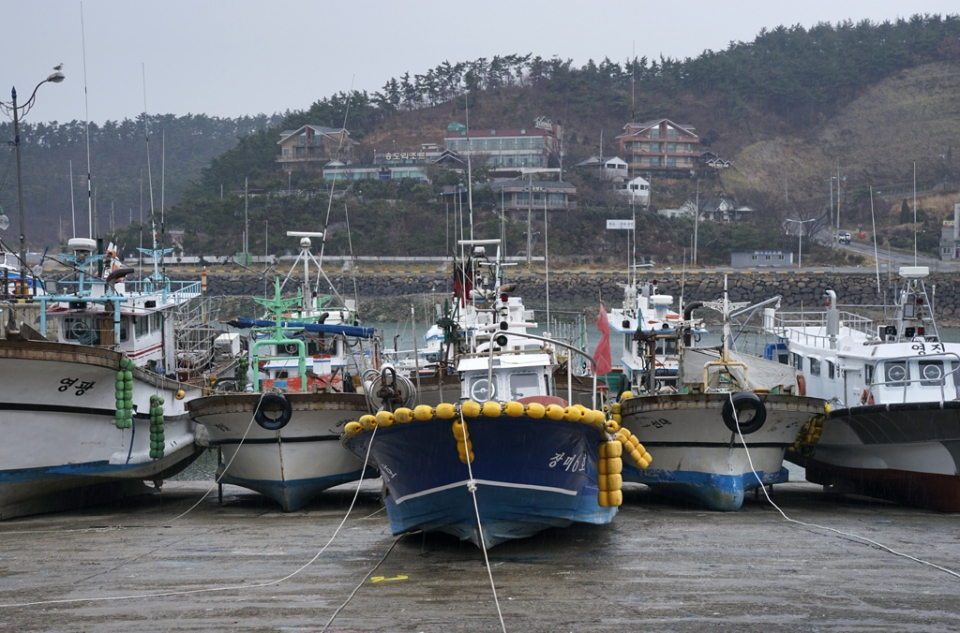 (2019.12.29(일) 태안해변길 3코스(파도길)  Rainy Day "모항항"  (사진:  김광부 기자)