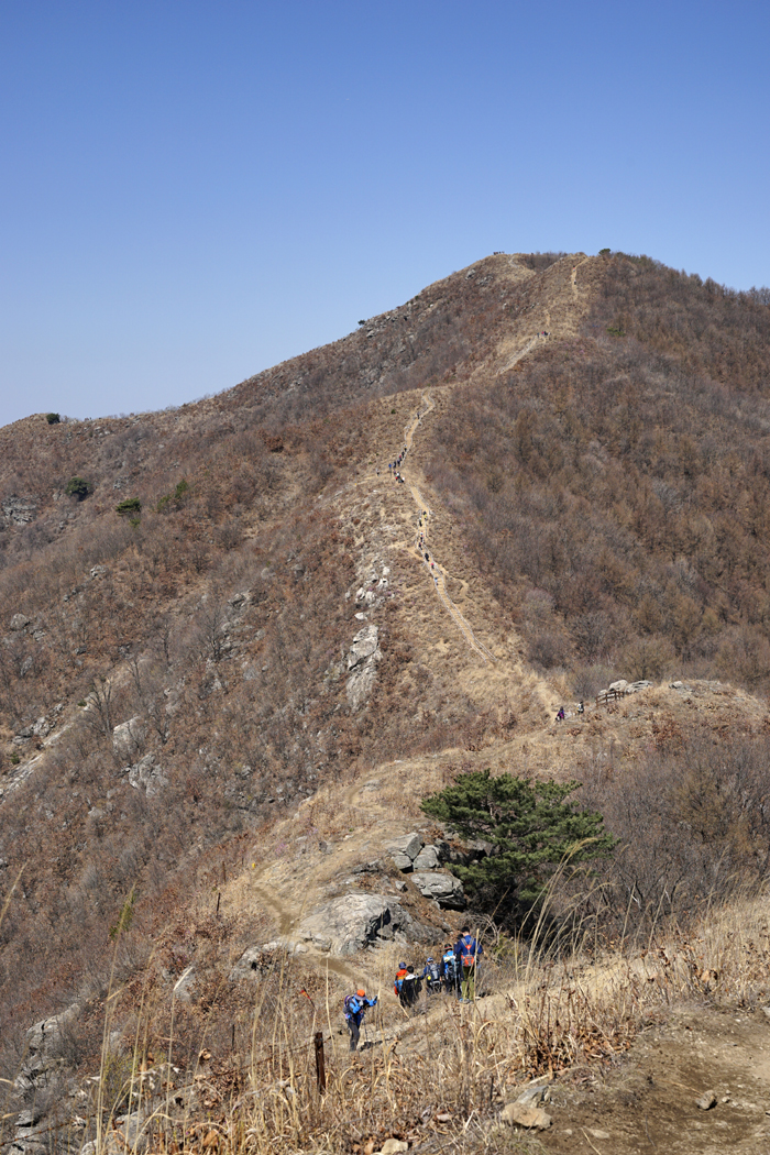 (2020.03.28(토) 이천 산수유 마을과 원적산 트래킹 " 천덕봉 가는길" (사진: 김광부 기자)