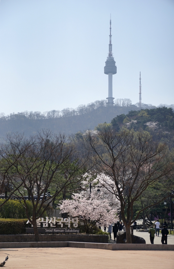 (2020.04.03(금) "한옥마을&남산 봄나들이" (사진: 김광부 기자)